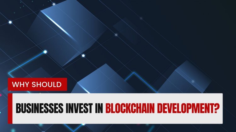 Why Should Businesses Invest in Blockchain Development?